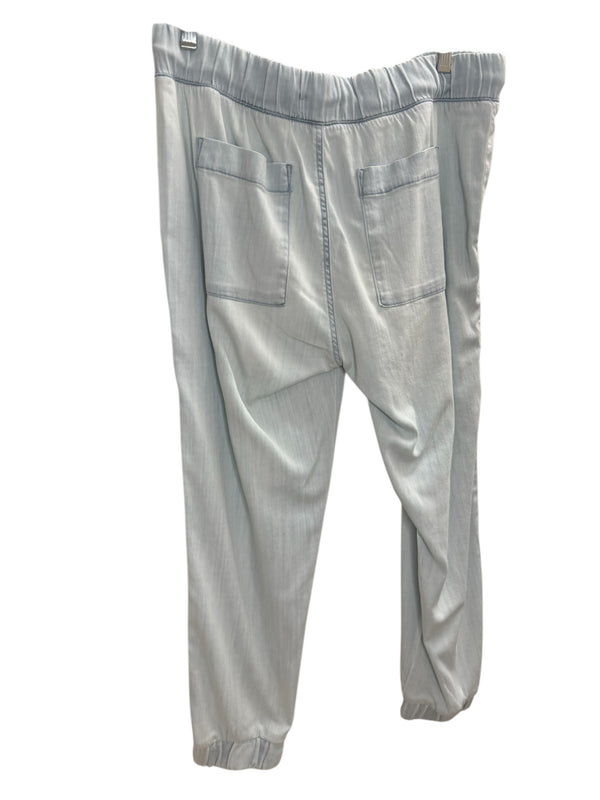 bella dahl Size L Blue Pants