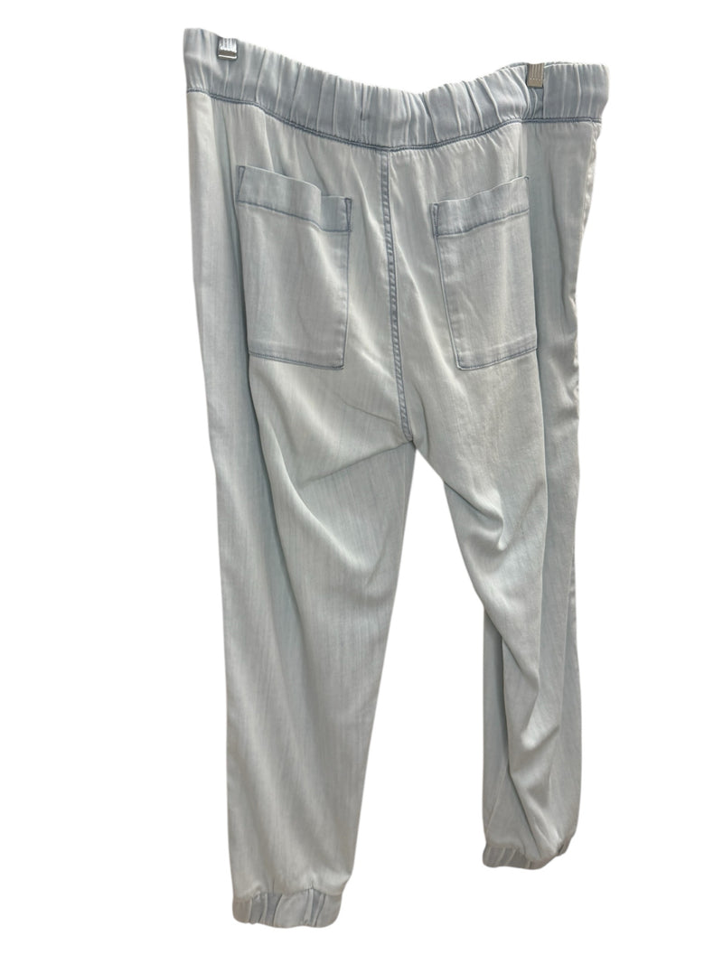 bella dahl Size L Blue Pants