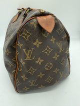 LOUIS VUITTON Brown Handbag
