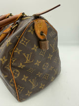 LOUIS VUITTON Brown Handbag